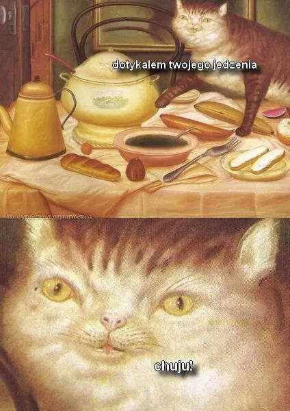 Совестливый кот это как морская свинка - и не свинья, и не морская :)