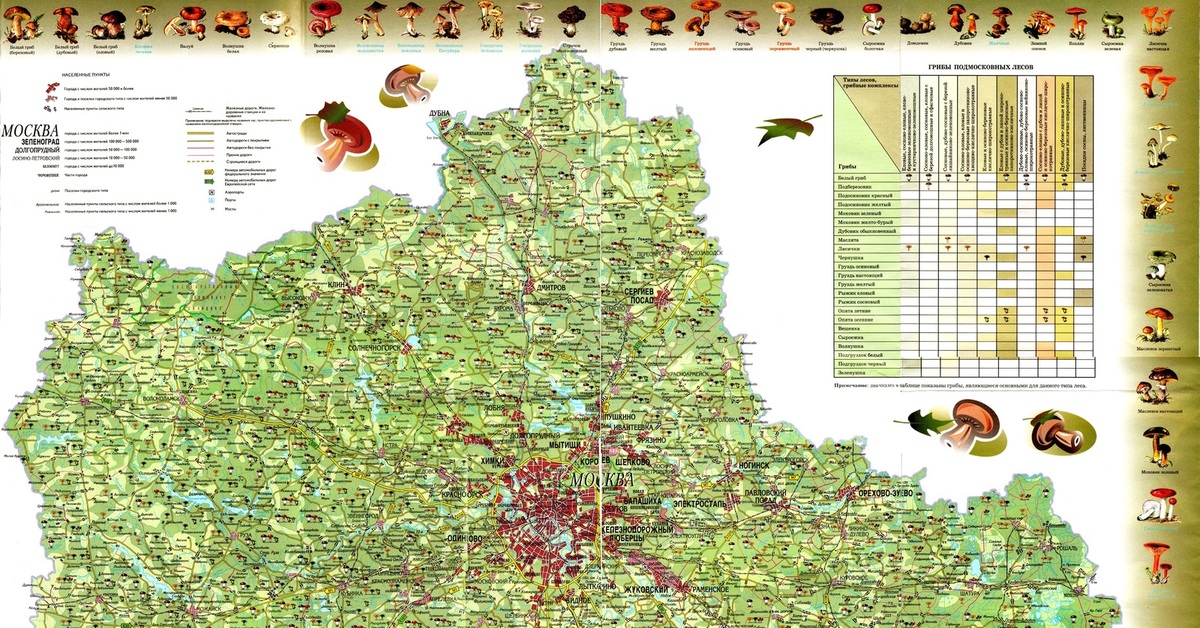 Грибная карта московской области карта
