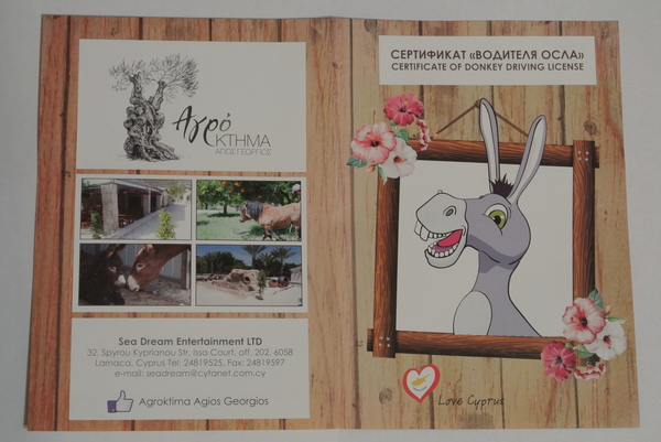 СЕРТИФИКАТ "ВОДИТЕЛЯ ОСЛА"