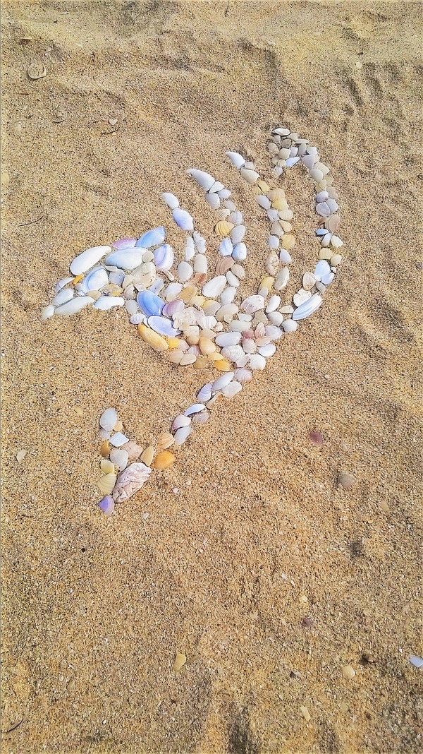 An anime guy, he's also an anime guy on the beach - My, Mosaic, Beach, Anime, Fairy Tail, Seashells