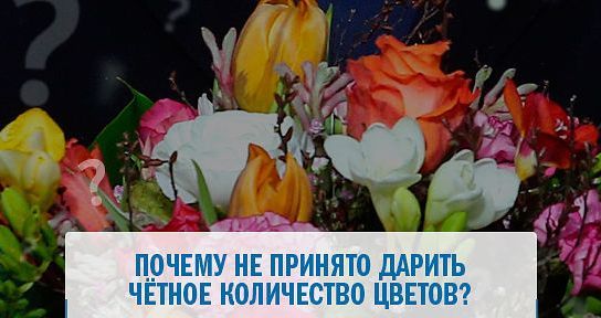 Why is it not customary to give an even number of flowers? - Flowers, Presents, Female, Darling, the Rose, Holidays, Text, Women, Favorite