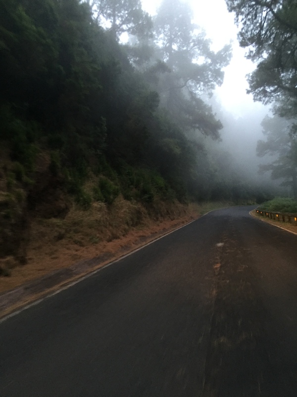 Drove along the TF-24 highway. - My, Canary Islands, , , Longpost