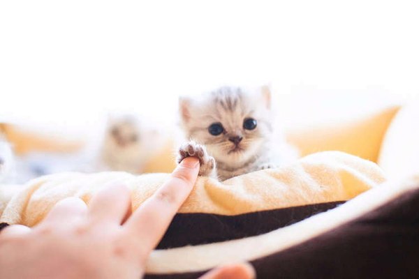 147336851513768879 Можно я тебя потрогаю там