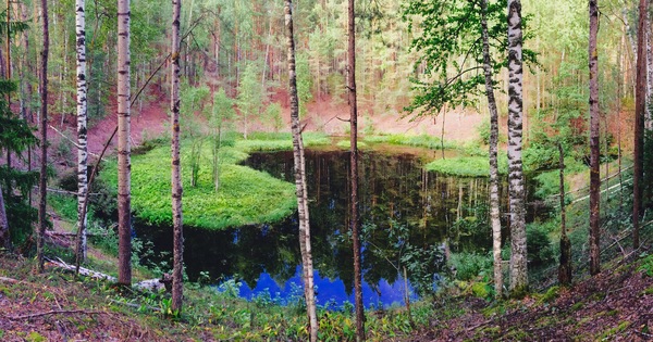 Yin Yang - My, Lake, Mari El, Mari Chodra, Lake in the forest