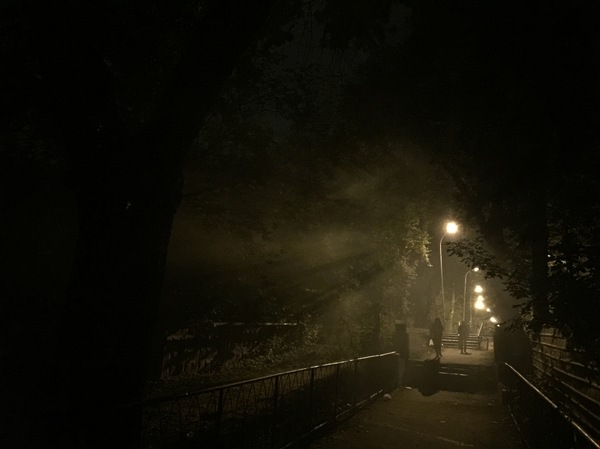 Night, street, lamp... - My, Photo, Atmospheric