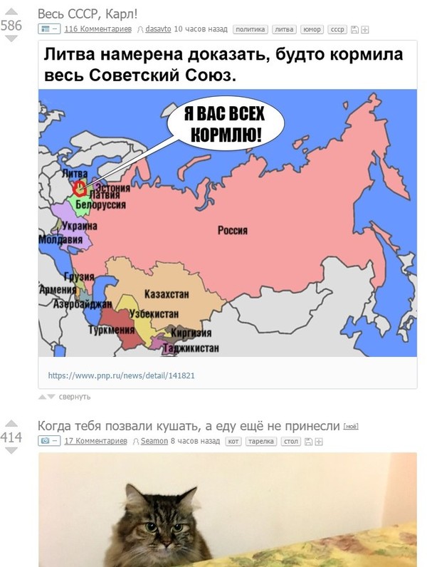 ����������?