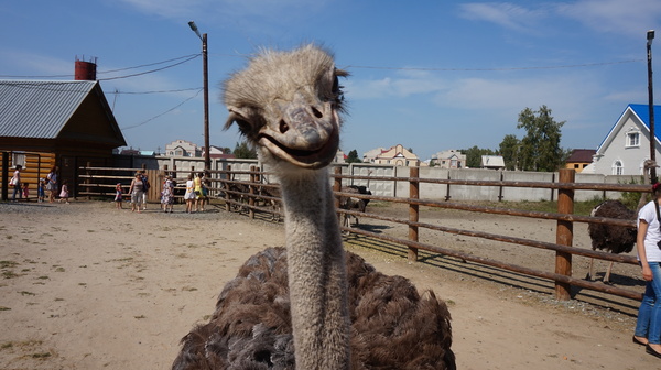 Всех с пятницей!