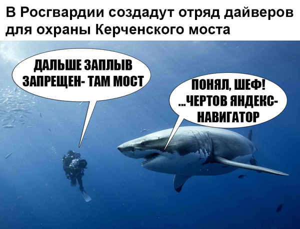 The enemy will not pass .. more precisely, it will not swim - Rosgvardia, Diving, news, Humor