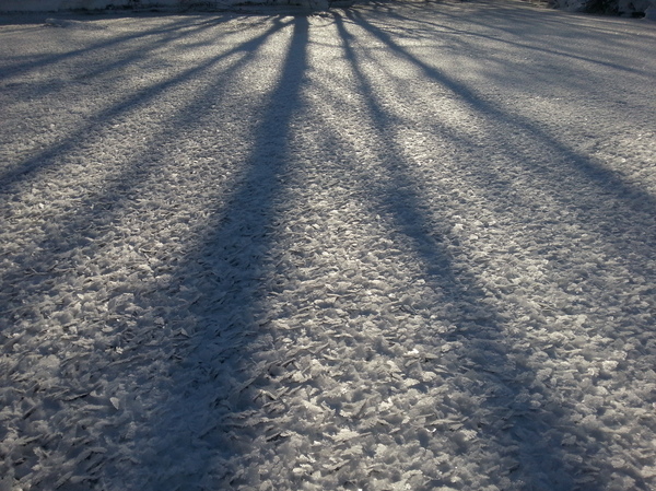 The angels have fallen. - My, , Wings, Flakes, February, Winter, 2013, , Longpost