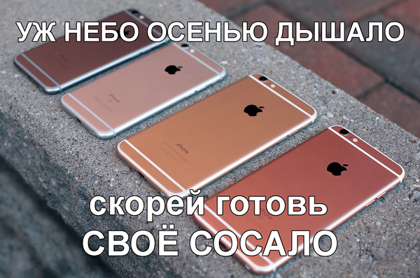 �� ���� ������ ������