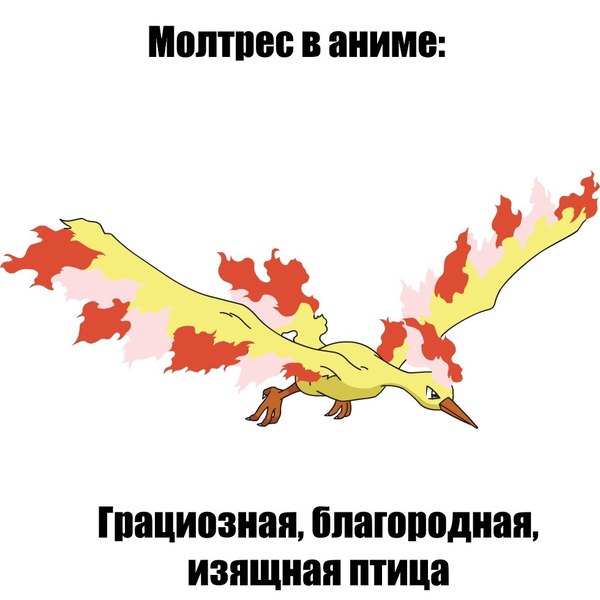 Moltres - Pokemon, Anime, Not anime, Games, Birds, Comparison, Style, Art, Longpost