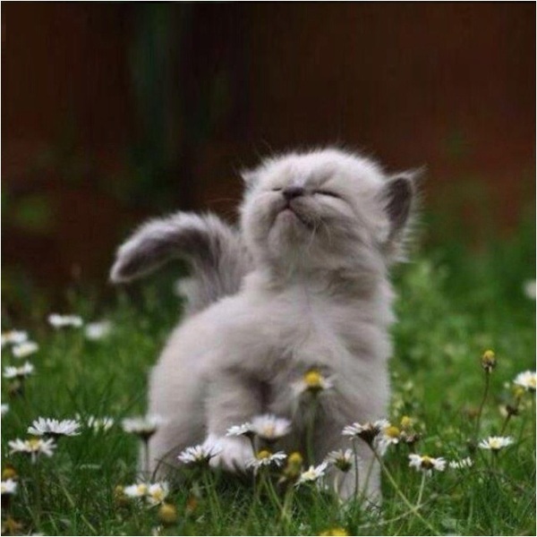 �������, ��, � ������������!