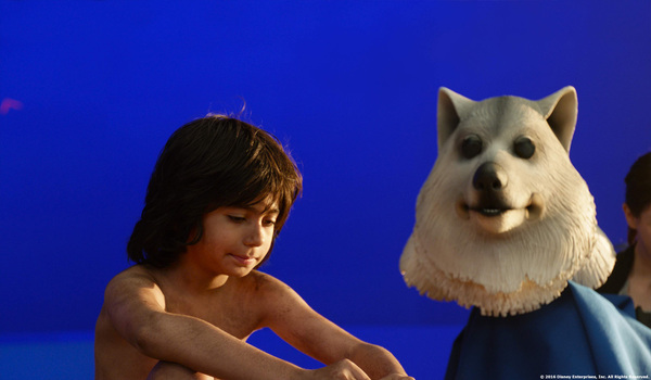 The special effects of the film The Jungle Book - Movies, Scene from the movie, The jungle book, Special effects, Walt disney company, Chromakey, Photos from filming, Longpost
