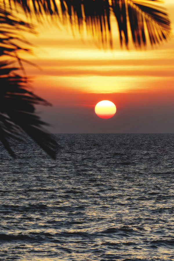 Sunset - Sunset, Ocean, Palm trees, Photo, Sea