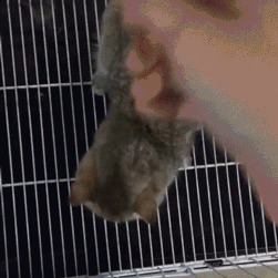     !