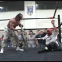 Sabotchamania , Sabu, Botch, Fail, 