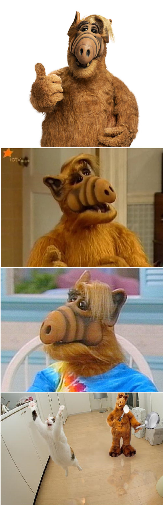 Alf! Best series of all time - Serials, Alf, Longpost, cat