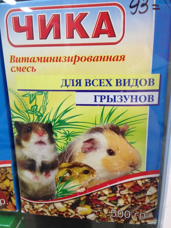 Tonight I will lead with a new chika. - My, Hamster, Glamor kitty