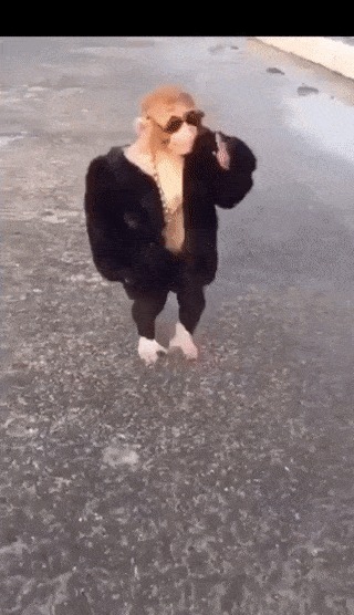 Чертовски модная