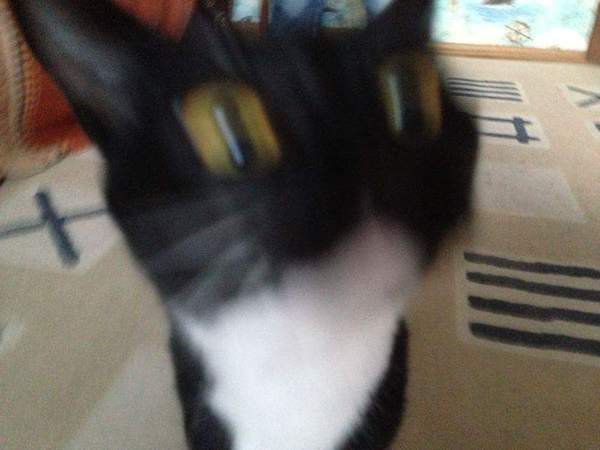   .  