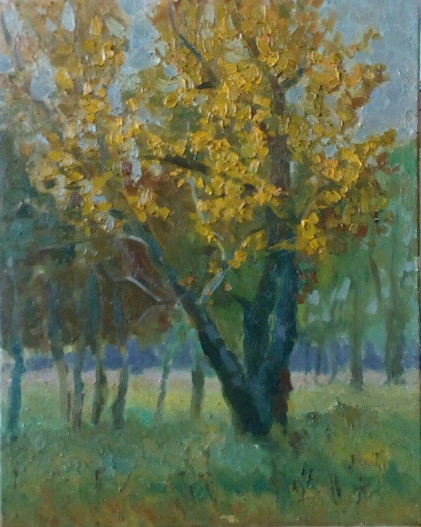 Tree - My, , Painting, Autumn, Tree, Krasnoyarsk