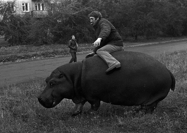 Worker on vacation. - hippopotamus, the USSR, Workers, Relaxation, Novokuznetsk