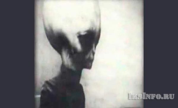 Horrorporn - Roswell Ufo