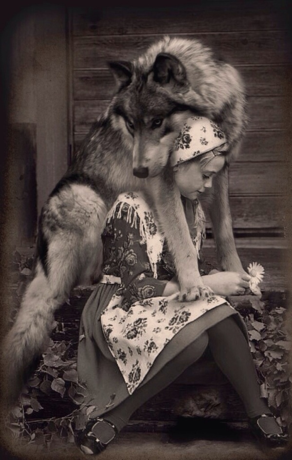 Masha and the gray wolf - Plot, Girl, Wolf, Black and white