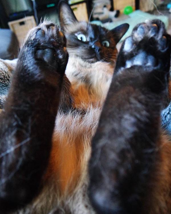 ���� �� ����� ������ ��� ������������� ������ ���...