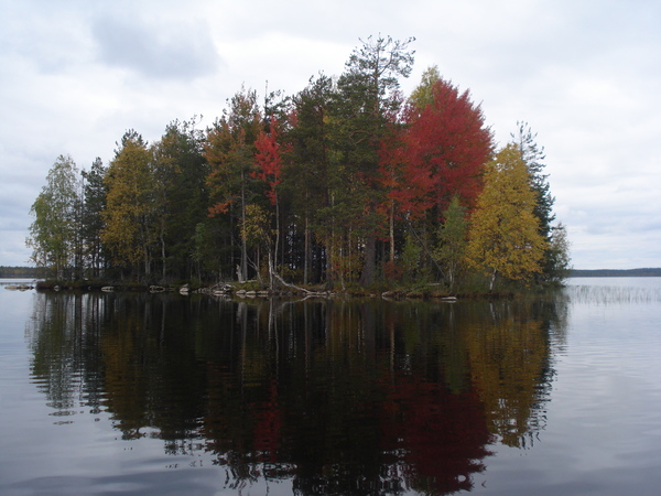 Autumn colors - My, Autumn, Island, Aspen