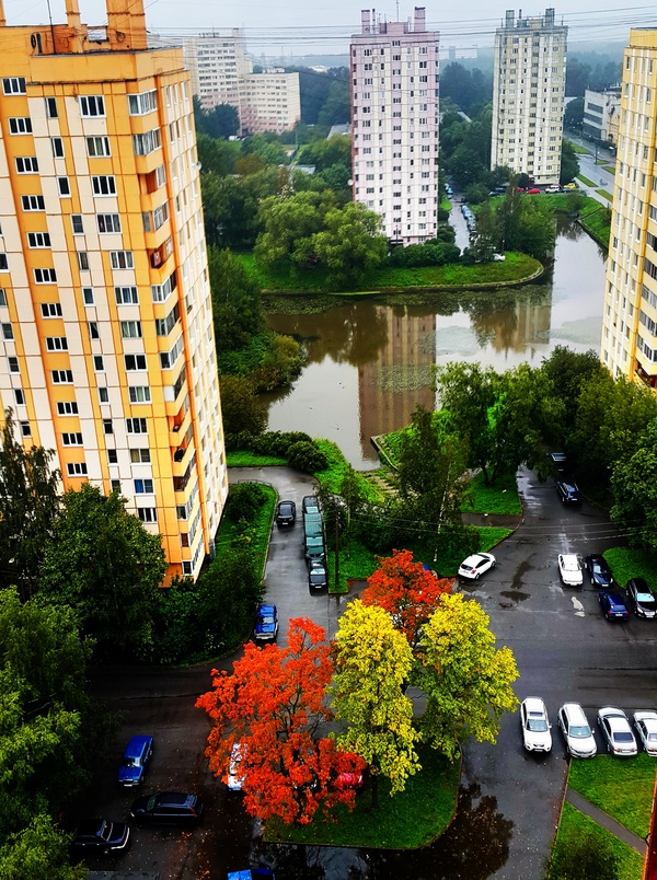 And autumn has begun in St. Petersburg. - Saint Petersburg, My, Autumn