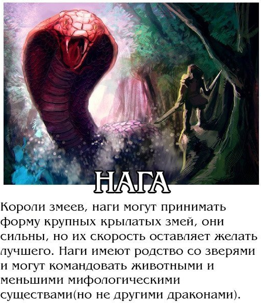 Драконов пост | Пикабу