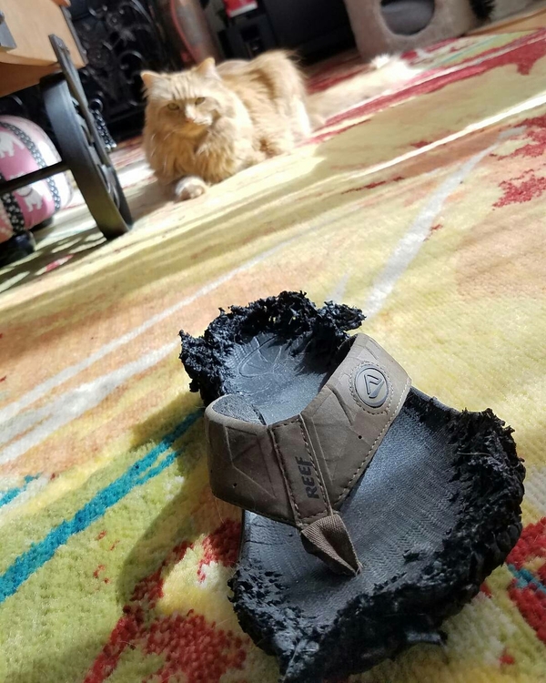 � �������� ���� ����� �����, �� ���������...