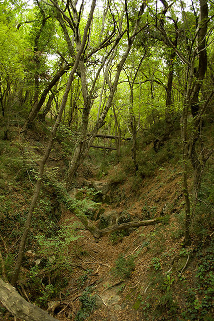 Along the Solar Path. Crimea. PVD. - My, Crimea, Livadia, Hike, , Tourism, Photo, Yalta, Hiking, Longpost