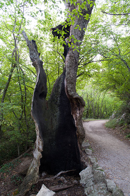 Along the Solar Path. Crimea. PVD. - My, Crimea, Livadia, Hike, , Tourism, Photo, Yalta, Hiking, Longpost