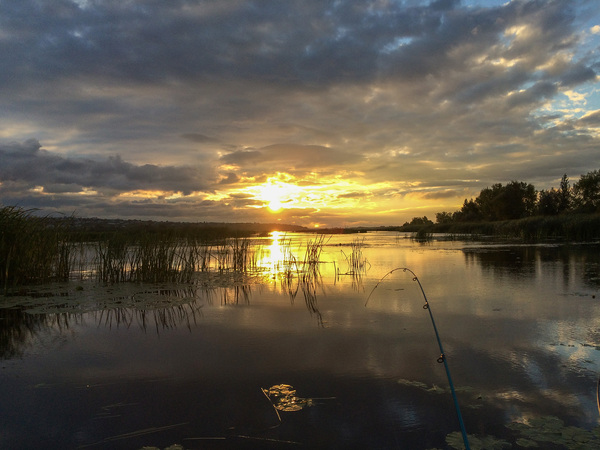 The Samara River and its backwaters - My, Fishing, Photo, Spinning, Longpost