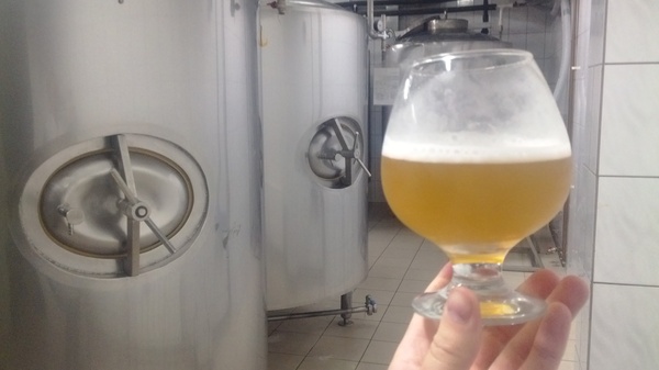 На волне постов о рабочих местах