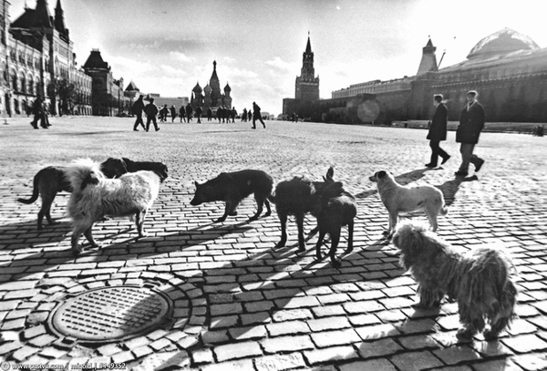 Walk in Moscow 1993 (part 1) - Moscow, Historical photo, , 1993, 90th, Longpost