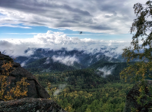 Beauty of the Krasnoyarsk Territory - My, Krasnoyarsk, Forest, Nature, Water, Angara, Yenisei, Photo