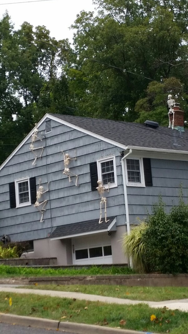 IT STARTS! - Halloween, Scenery, , Skeleton