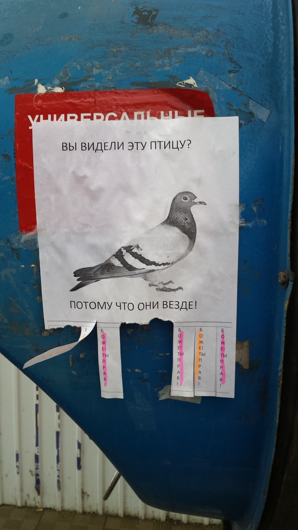 � �� �� ������?