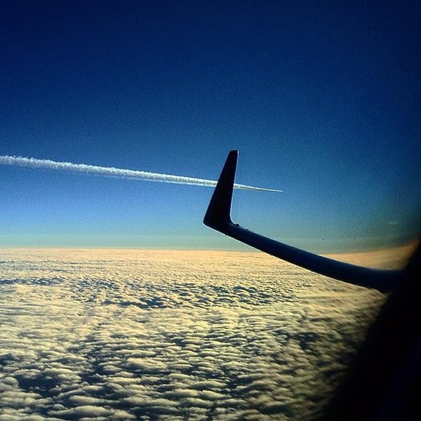 Something flew right side - Sky, Cockpit