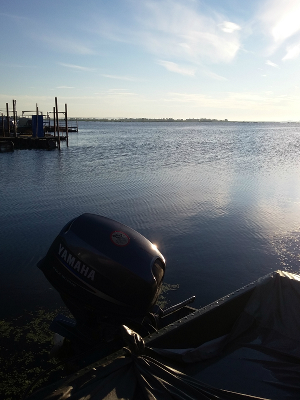 How to go fishing. Volga river, Samara region. - My, Bream, Fishing, Nature, Longpost, Volga river