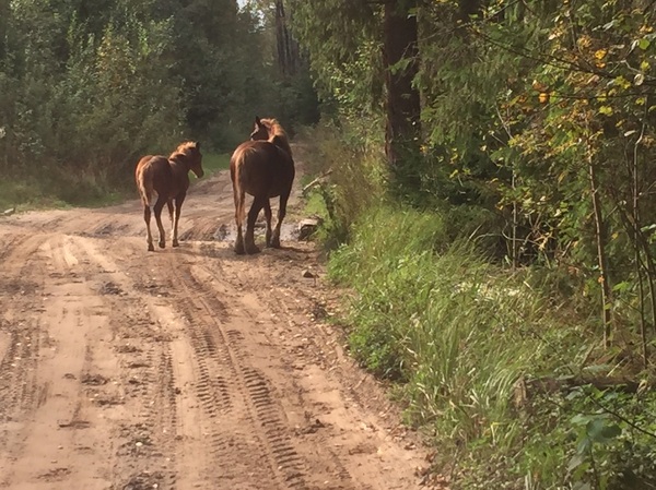 ��������� �� ������ �� ����� �������