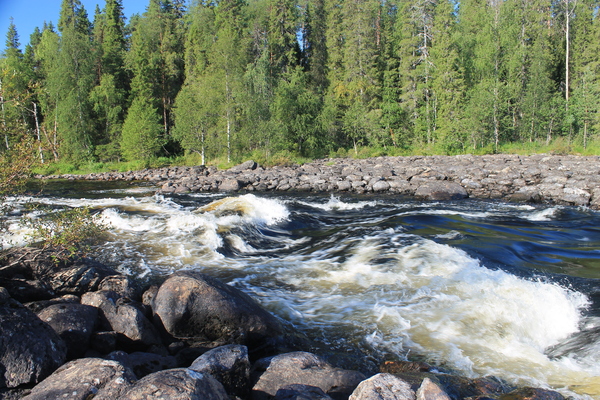 Rapids on the Pistajoki River, August 2016 - My, Карелия, Thresholds, Alloy, Photo, Longpost