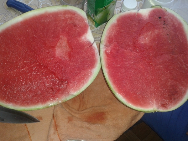 Jackpot on the reel - My, Watermelon, 