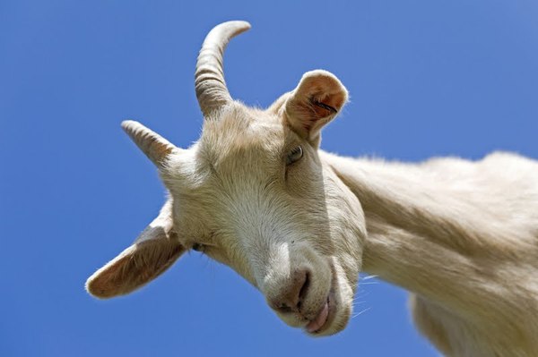 �������������. ����� 2.