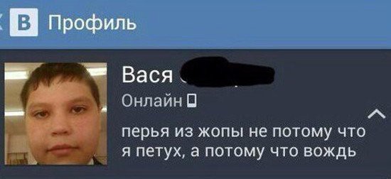 Потому что вождь - Вождь, ВКонтакте, Школьники, Скриншот