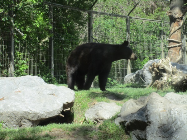 Zoo in Calgary - My, Canada, Zoo, Longpost