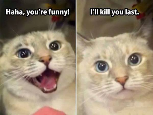 Арнольд Котценнегер